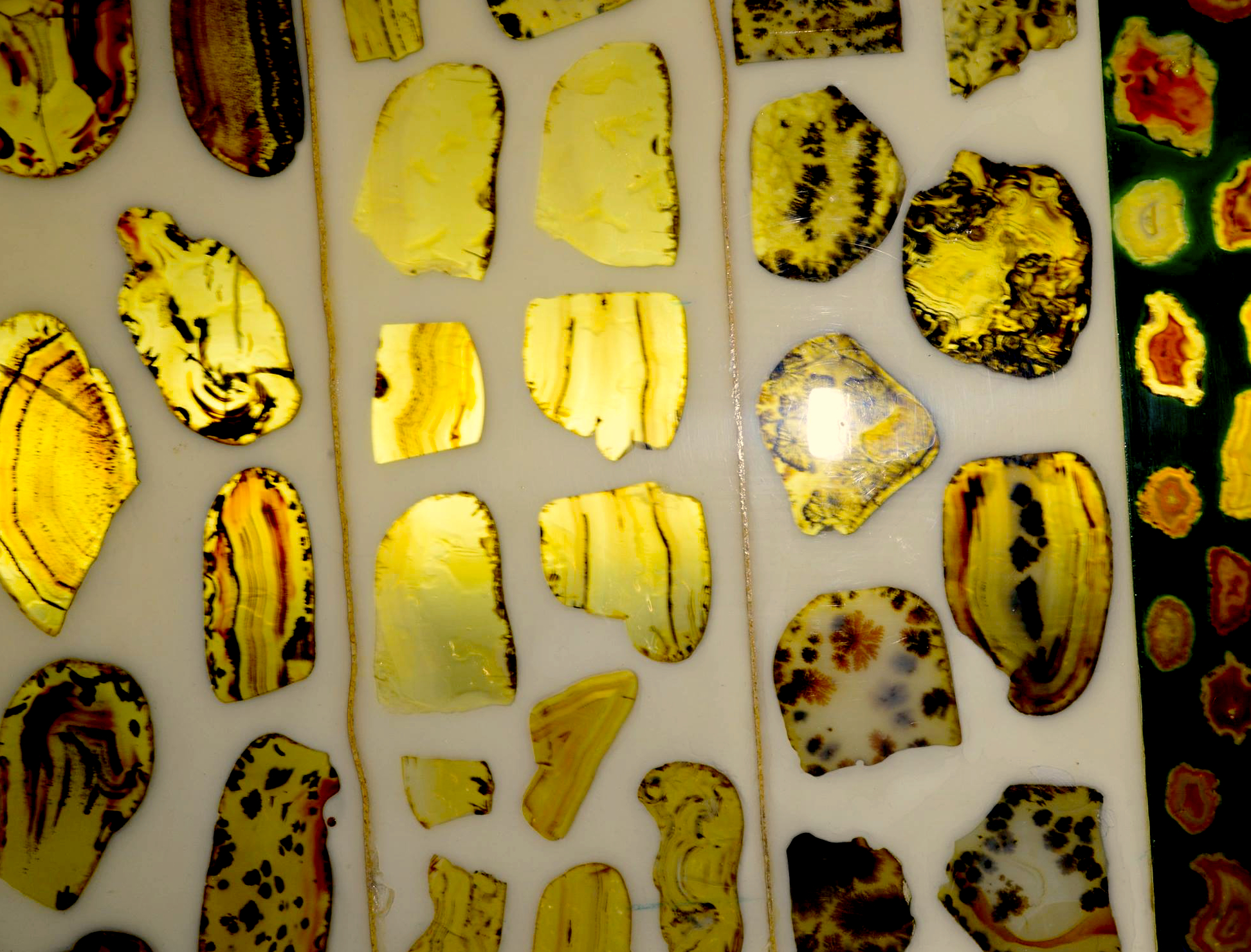 Agate Display - Paul Broste Rock Museum